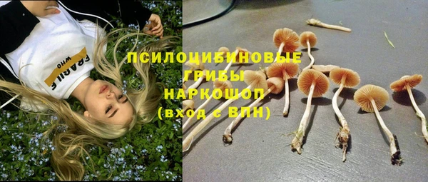 прущая мука Козельск