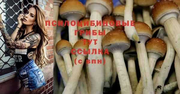 ALPHA-PVP Кодинск