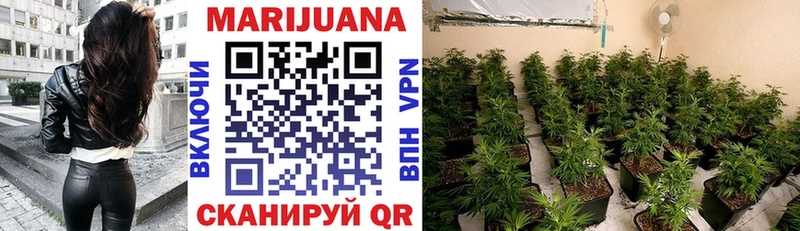 Купить  Волжск  Бошки Шишки OG Kush 
